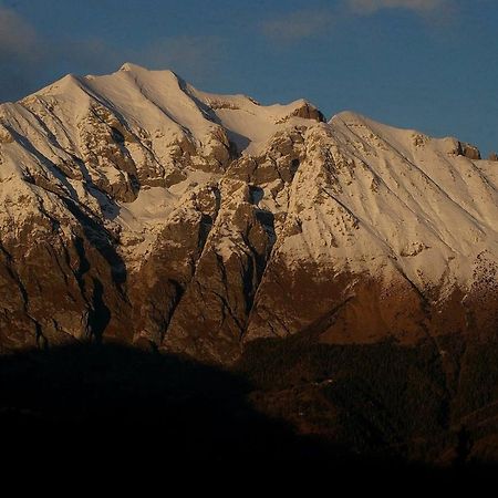 Catif Ladru Bed & Breakfast Cerveno Exterior photo