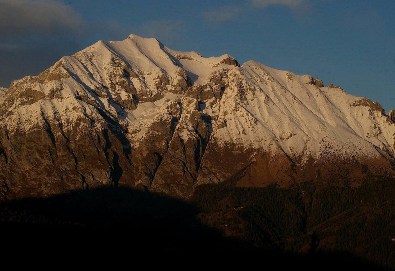 Catif Ladru Bed & Breakfast Cerveno Exterior photo